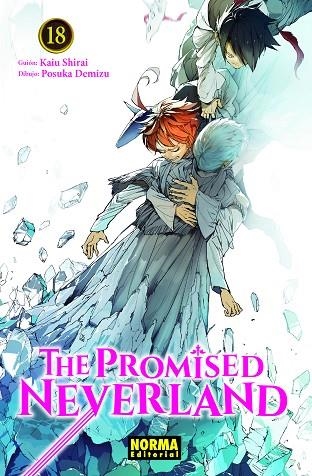 THE PROMISED NEVERLAND 18 | 9788467943733 | SHIRAI, KAIU / DEMIZU, POSUKA | Librería Castillón - Comprar libros online Aragón, Barbastro