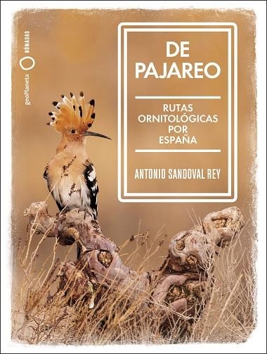 De pajareo | 9788408251514 | Sandoval, Antonio | Librería Castillón - Comprar libros online Aragón, Barbastro