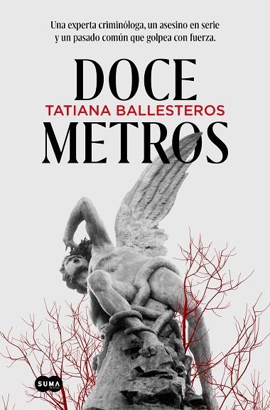 Doce metros | 9788491296485 | Tatiana Ballesteros | Librería Castillón - Comprar libros online Aragón, Barbastro