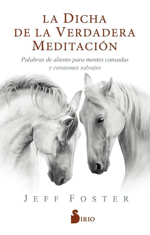 DICHA DE LA VERDADERA MEDITACIÓN, LA /PALABRAS DE ALIENTO PARA MENTES CANSADAS Y CORAZONES SALVAJES | 9788418000522 | FOSTER, JEFF | Librería Castillón - Comprar libros online Aragón, Barbastro