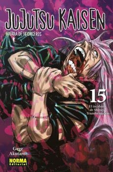 JUJUTSU KAISEN 15 | 9788467949872 | GEGE AKUTAMI ; KOYOHARU GOTOUGE | Librería Castillón - Comprar libros online Aragón, Barbastro