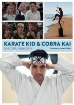 KARATE KID & COBRA KAI DAR CERA PULIR CERA | 9788418320583 | MILLAN,FRANCISCO JAVIER | Librería Castillón - Comprar libros online Aragón, Barbastro