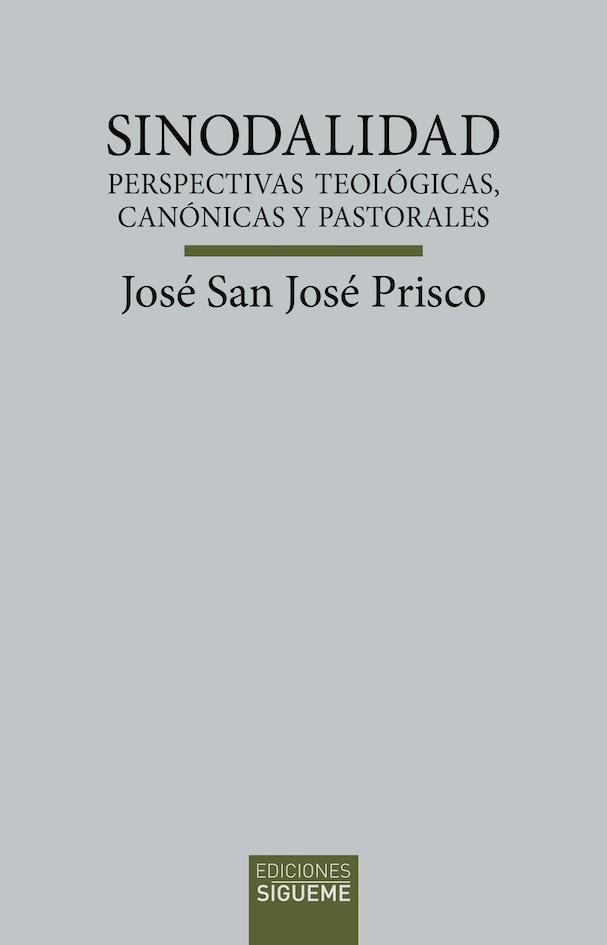 Sinodalidad | 9788430121182 | San José Prisco, José | Librería Castillón - Comprar libros online Aragón, Barbastro