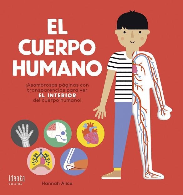 El cuerpo humano | 9788414022092 | AA.VV | Librería Castillón - Comprar libros online Aragón, Barbastro