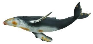 FIGURA DEQUBE BALLENA JOROBADA | 4892900883472 | Librería Castillón - Comprar libros online Aragón, Barbastro