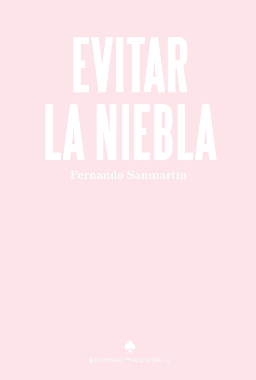 Evitar la niebla | 9788412511529 | Sanmartín, Fernando | Librería Castillón - Comprar libros online Aragón, Barbastro