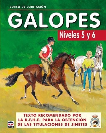 CURSO DE EQUITACIÓN. GALOPES NIVELES 5 Y 6 | 9788479025625 | Los Autores de Galopes | Librería Castillón - Comprar libros online Aragón, Barbastro