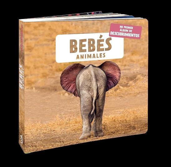 Bebés animales | 9788418762116 | Naturagency | Librería Castillón - Comprar libros online Aragón, Barbastro