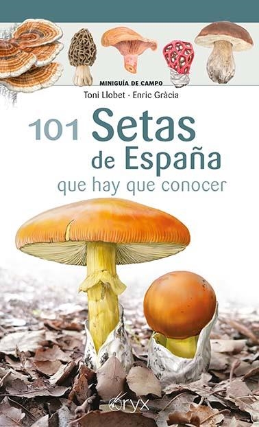 101 Setas de España | 9788418735080 | Llobet François, Toni / Gràcia i Barba, Enric | Librería Castillón - Comprar libros online Aragón, Barbastro