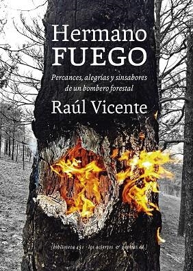 Hermano fuego | 9788412434521 | Vicente Pérez, Raúl | Librería Castillón - Comprar libros online Aragón, Barbastro