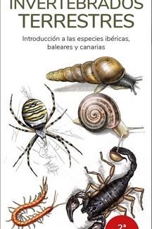 INVERTEBRADOS TERRESTRES - GUIAS DESPLEGABLES TUNDRA | 9788418458804 | HERNANDEZ, VICTOR J. | Librería Castillón - Comprar libros online Aragón, Barbastro