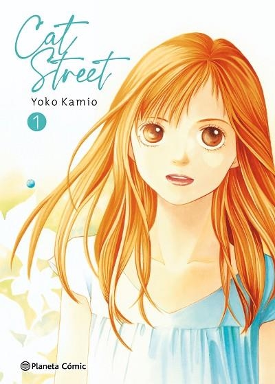 Cat Street nº 01/04 | 9788491534624 | Yoko Kamio | Librería Castillón - Comprar libros online Aragón, Barbastro