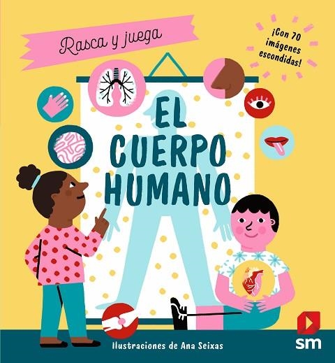 El cuerpo humano | 9788413922461 | Flint, Kathy | Librería Castillón - Comprar libros online Aragón, Barbastro