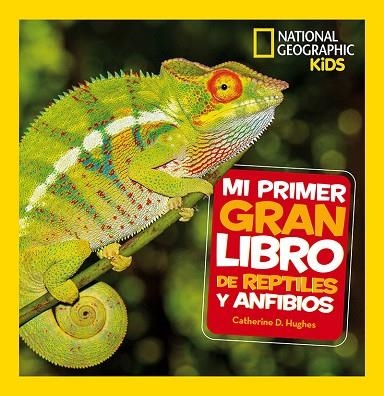 Mi primer gran libro de reptiles y anfibios | 9788482987958 | Catherine D. Hughes | Librería Castillón - Comprar libros online Aragón, Barbastro