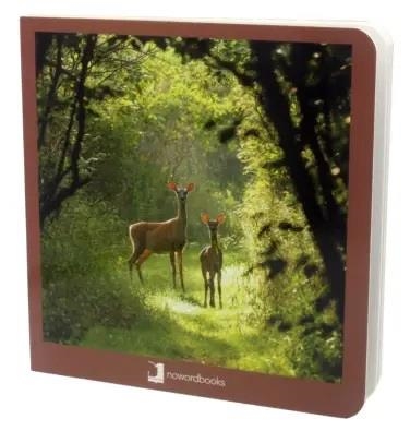 Los Animales del Bosque | 9788494174599 | Nowordbooks | Librería Castillón - Comprar libros online Aragón, Barbastro