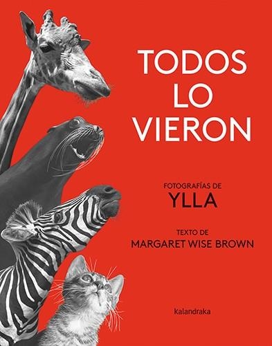 Todos lo vieron | 9788413431840 | Brown, Margaret Wise | Librería Castillón - Comprar libros online Aragón, Barbastro