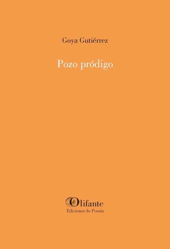 Pozo pródigo | 9788412556636 | Gutiérrez, Goya | Librería Castillón - Comprar libros online Aragón, Barbastro