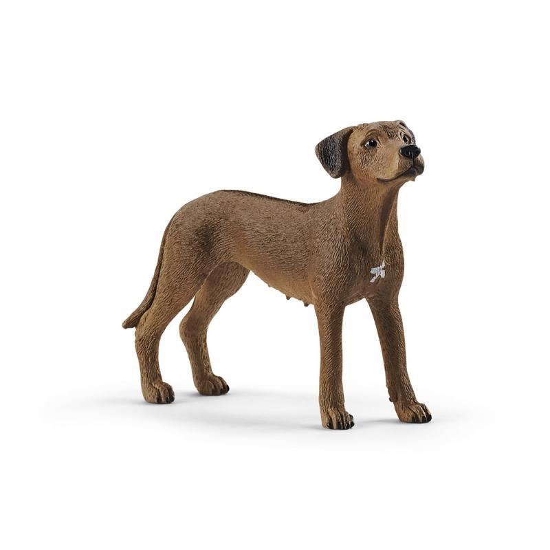 FIGURA PERRO CRESTADO RODESIANO SCHLEICH | 4059433007229 | Librería Castillón - Comprar libros online Aragón, Barbastro