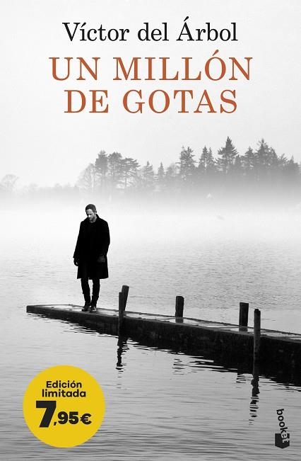 Un millón de gotas | 9788423362677 | Árbol, Víctor del | Librería Castillón - Comprar libros online Aragón, Barbastro