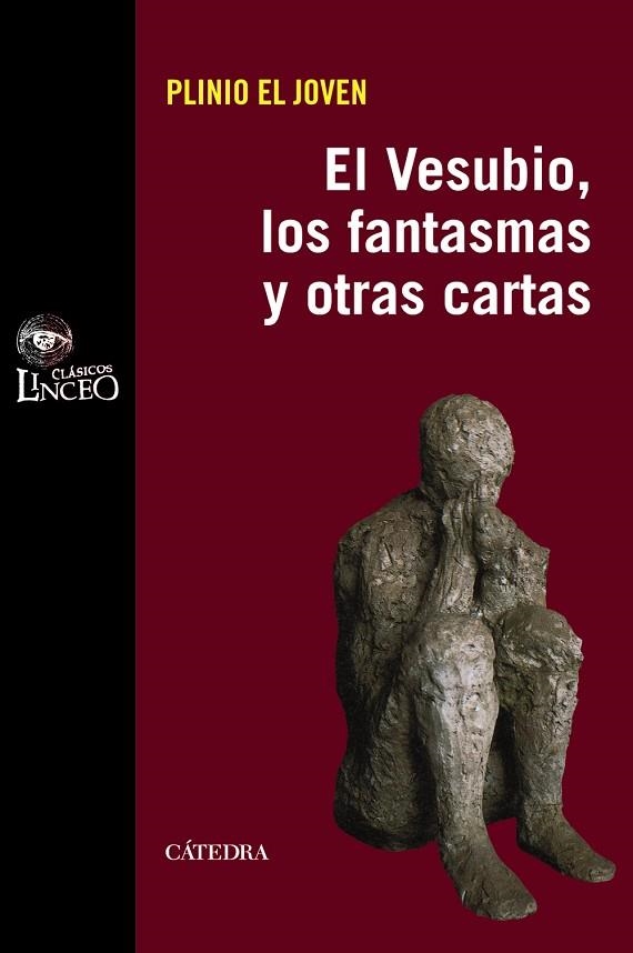 El Vesubio, los fantasmas y otras cartas | 9788437628899 | Plinio el Joven | Librería Castillón - Comprar libros online Aragón, Barbastro