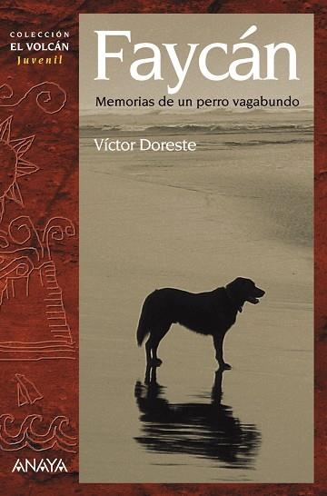 Faycán | 9788466764049 | Doreste, Víctor | Librería Castillón - Comprar libros online Aragón, Barbastro