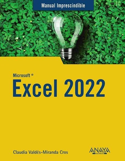 Excel 2022 | 9788441545182 | Valdés-Miranda, Claudia | Librería Castillón - Comprar libros online Aragón, Barbastro