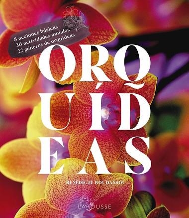 Orquídeas | 9788418882470 | Boudassou, Bénédicte | Librería Castillón - Comprar libros online Aragón, Barbastro