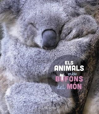 Els animals més bufons del món | 9788419436184 | Ledu, Stéphanie | Librería Castillón - Comprar libros online Aragón, Barbastro