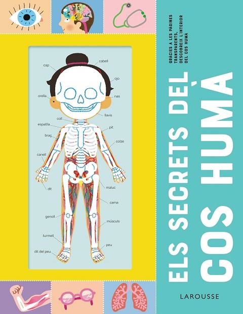 Els secrets del cos humà | 9788418473227 | Éditions Larousse | Librería Castillón - Comprar libros online Aragón, Barbastro