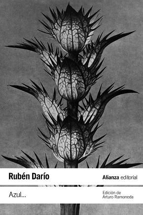 Azul... | 9788411480949 | Darío, Rubén | Librería Castillón - Comprar libros online Aragón, Barbastro