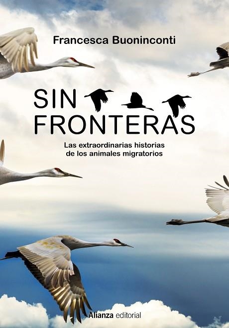 Sin fronteras | 9788413625300 | Buoninconti, Francesca | Librería Castillón - Comprar libros online Aragón, Barbastro