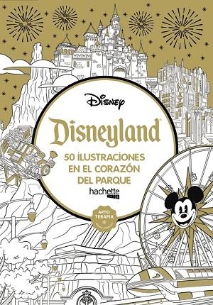 Disneyland | 9788418182440 | VVAA | Librería Castillón - Comprar libros online Aragón, Barbastro