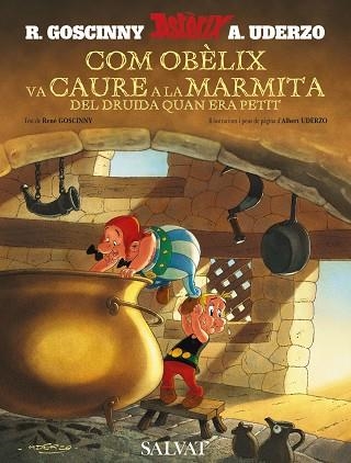 Com Obèlix va caure a la marmita del druida quan era petit (català) | 9788421683309 | Goscinny, René | Librería Castillón - Comprar libros online Aragón, Barbastro