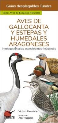 AVES DE GALLOCANTA Y ESTEPAS Y HUMEDALES ARAGONESES - GUIAS DESPLEGABLES TUNDRA | 9788419624017 | HERNANDEZ, VICTOR J. | Librería Castillón - Comprar libros online Aragón, Barbastro