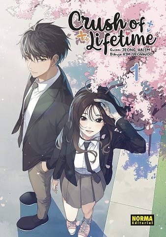 CRUSH OF LIFETIME 01 | 9788467958164 | HALIM,JEONG-YEONWOO,KIM | Librería Castillón - Comprar libros online Aragón, Barbastro