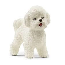 FIGURA PERRO BICHON FRISE SCHLEICH | 4059433527611 | Librería Castillón - Comprar libros online Aragón, Barbastro