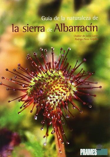 GUIA DE LA NATURALEZA DE LA SIERRA DE ALBARRACIN | 9788483212042 | LORE, CHABIER DE JAIME; PEREZ GRIJALBO, RODRIGO | Librería Castillón - Comprar libros online Aragón, Barbastro