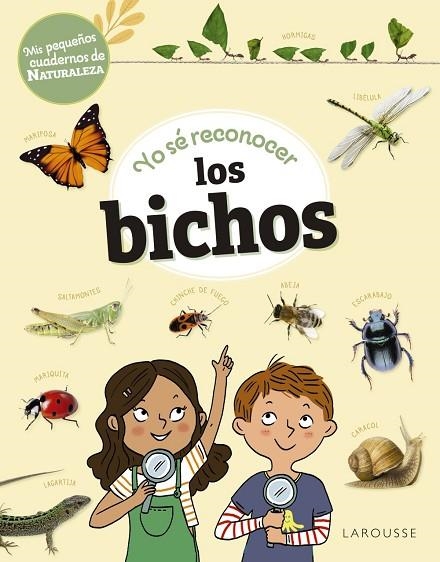 Yo sé reconocer los bichos | 9788419436276 | Lebrun, Sandra | Librería Castillón - Comprar libros online Aragón, Barbastro