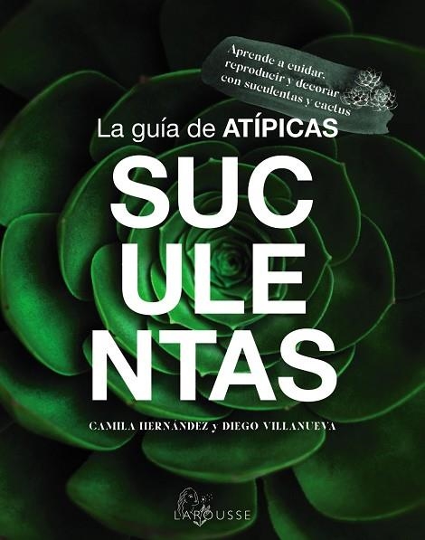 La guía de Atípicas Suculentas | 9788419436603 | Hernández, Camila ; Villanueva, Diego | Librería Castillón - Comprar libros online Aragón, Barbastro