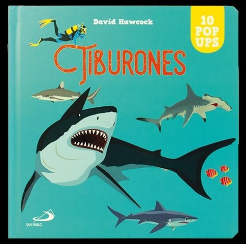 Tiburones | 9788428567381 | Hawcock, David | Librería Castillón - Comprar libros online Aragón, Barbastro