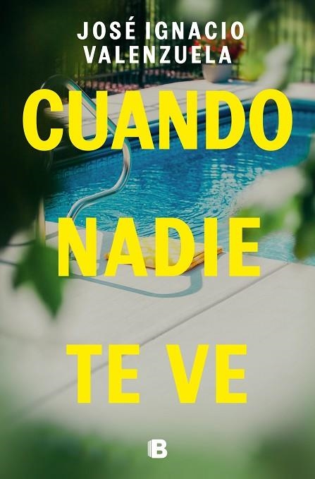 Cuando nadie te ve | 9788466675192 | José Ignacio Valenzuela | Librería Castillón - Comprar libros online Aragón, Barbastro