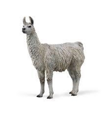 FIGURA DEQUBE ALPACA M | 4892900889603 | Librería Castillón - Comprar libros online Aragón, Barbastro