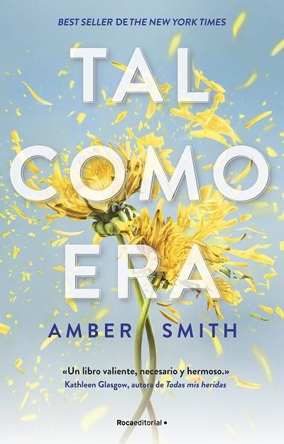 Tal como era | 9788419743244 | Amber Smith | Librería Castillón - Comprar libros online Aragón, Barbastro