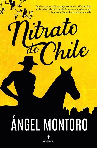 Nitrato de Chile | 9788411317634 | Ángel Montoro Valverde | Librería Castillón - Comprar libros online Aragón, Barbastro