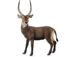 FIGURA DE QUBE ANTILOPE ACUATICO | 4892900885629 | Librería Castillón - Comprar libros online Aragón, Barbastro