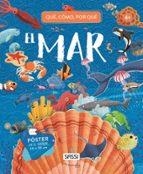 EL MAR CUANDO COMO POR QUE | 9788419714497 | AA VV | Librería Castillón - Comprar libros online Aragón, Barbastro