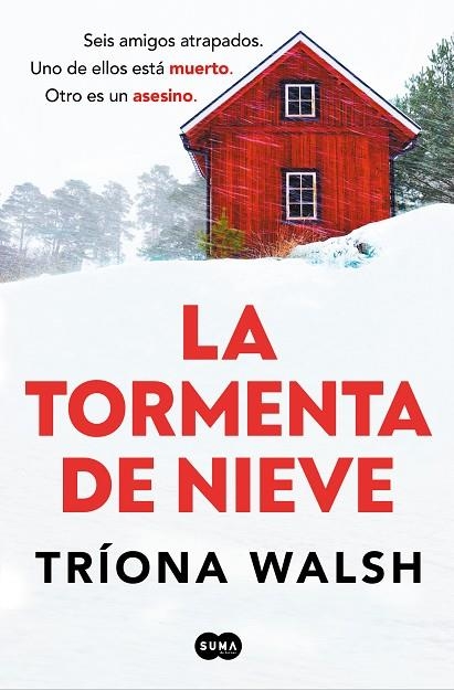 Tormenta de nieve | 9788491299028 | Tríona Walsh | Librería Castillón - Comprar libros online Aragón, Barbastro