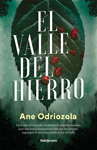 El valle del hierro | 9788410140035 | Odriozola, Ane | Librería Castillón - Comprar libros online Aragón, Barbastro