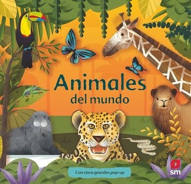 Animales del mundo | 9788411821384 | KORDIC, DRAGAN | Librería Castillón - Comprar libros online Aragón, Barbastro