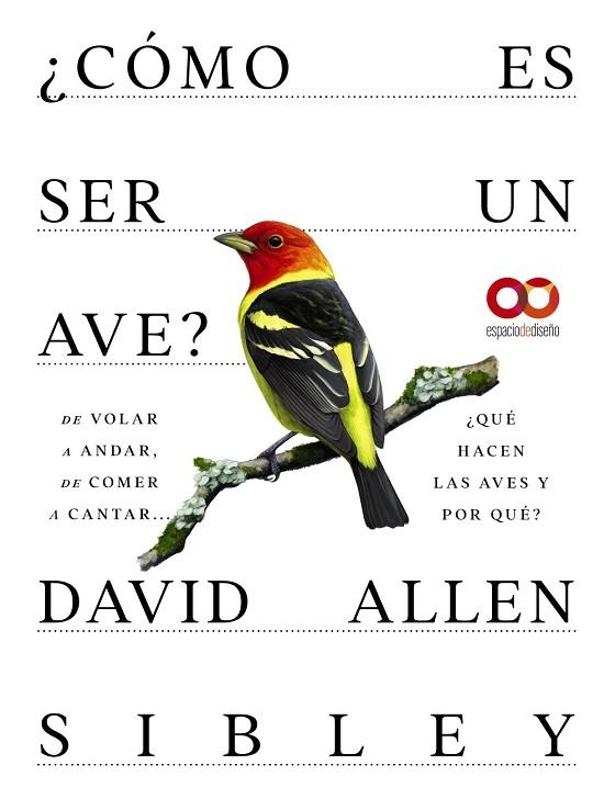 ¿Cómo es ser un ave? De volar a anidar, de comer a cantar... ¿Qué hacen las aves | 9788441549050 | Allen Sibley, David | Librería Castillón - Comprar libros online Aragón, Barbastro